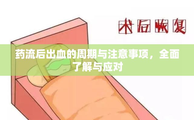藥流后出血的周期與注意事項，全面了解與應(yīng)對