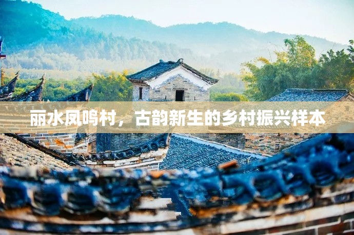 麗水鳳鳴村，古韻新生的鄉(xiāng)村振興樣本