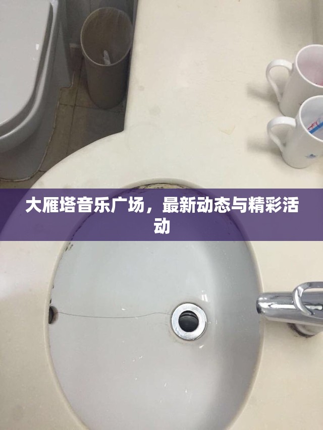 大雁塔音樂(lè)廣場(chǎng)，最新動(dòng)態(tài)與精彩活動(dòng)