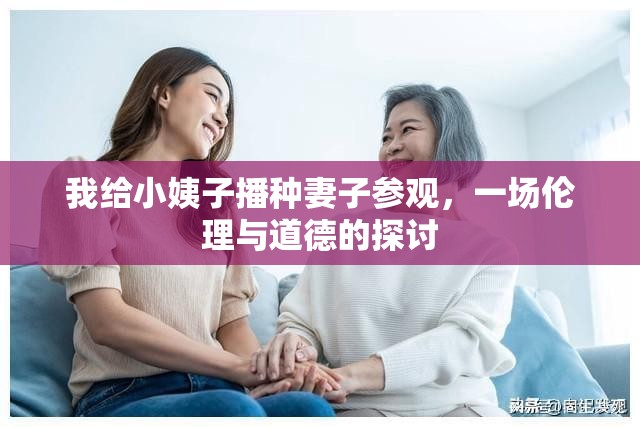 我給小姨子播種妻子參觀，一場(chǎng)倫理與道德的探討
