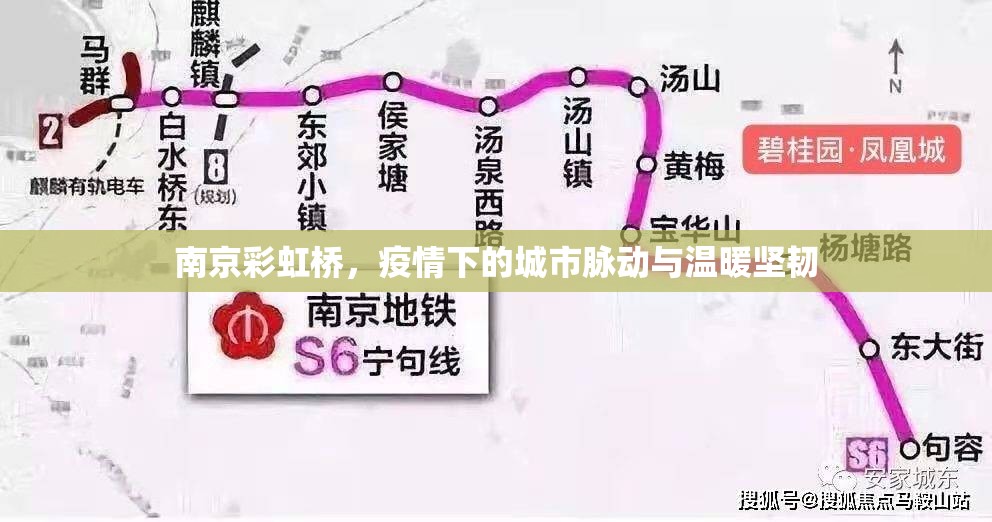 南京彩虹橋，疫情下的城市脈動與溫暖堅韌