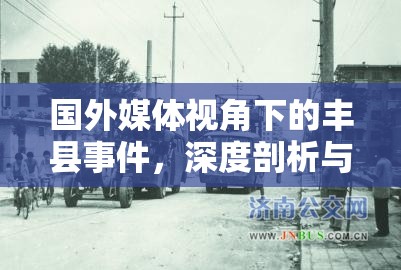 國外媒體視角下的豐縣事件，深度剖析與反思