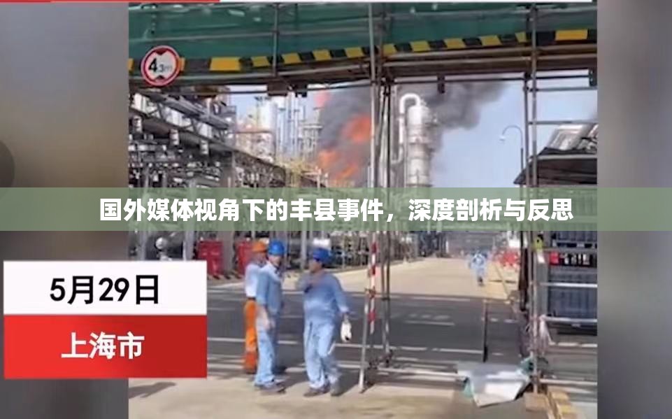 國外媒體視角下的豐縣事件，深度剖析與反思