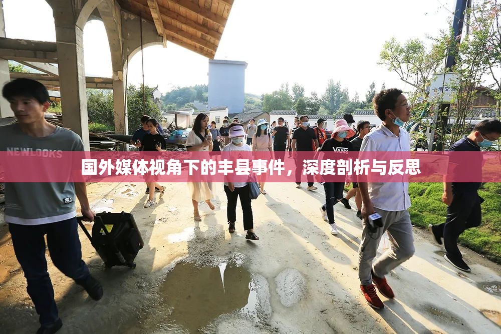 國外媒體視角下的豐縣事件，深度剖析與反思