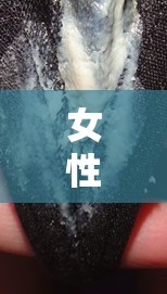 女性健康警報(bào)，外陰瘙癢與黑色血性分泌物，不容忽視的信號(hào)