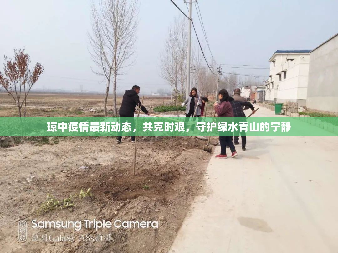 瓊中疫情最新動態(tài)，共克時艱，守護(hù)綠水青山的寧靜