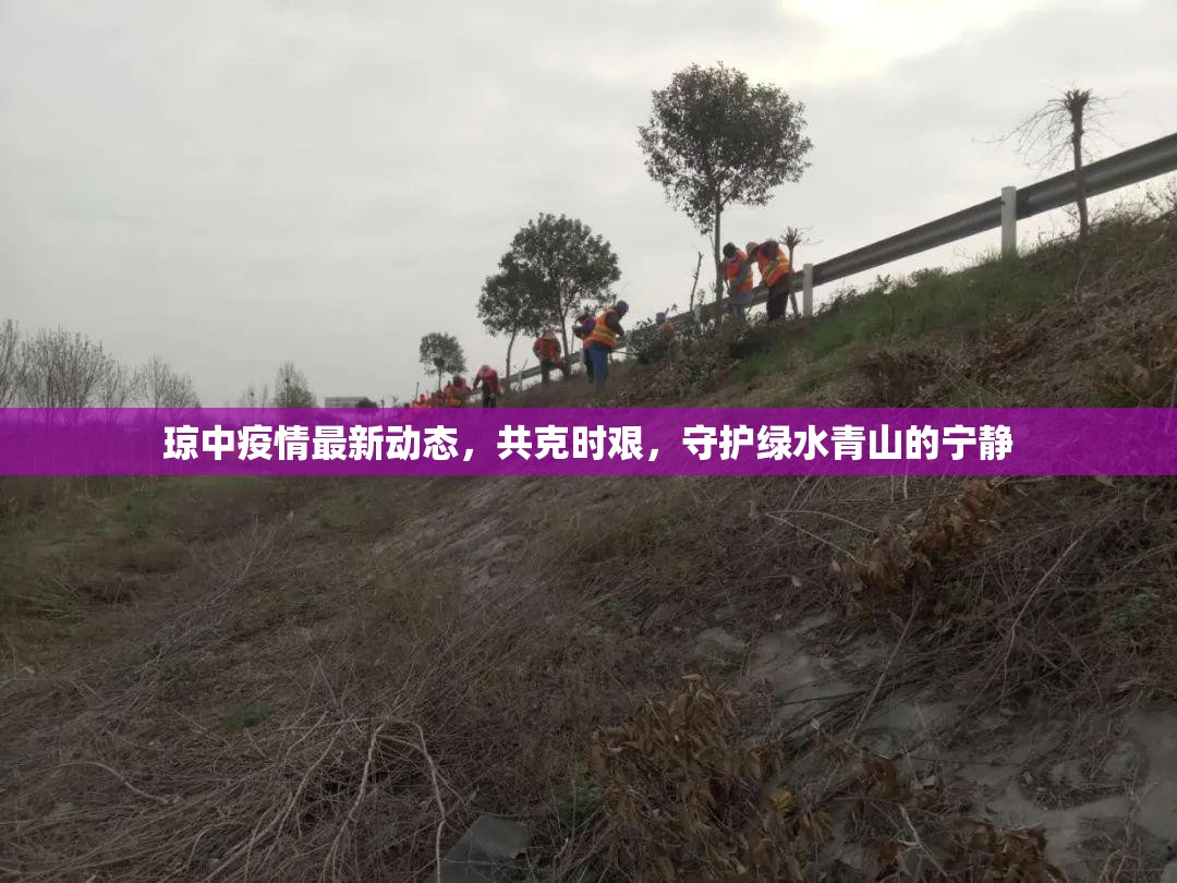 瓊中疫情最新動態(tài)，共克時艱，守護(hù)綠水青山的寧靜