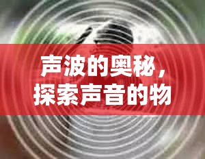 聲波的奧秘，探索聲音的物理與感知