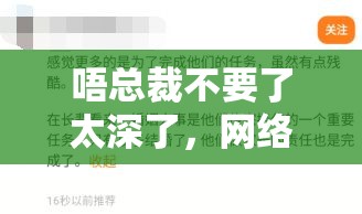 唔總裁不要了太深了，網(wǎng)絡(luò)討論中的情感與界限