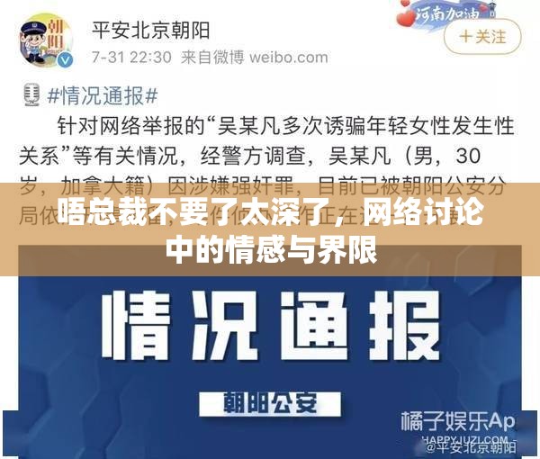 唔總裁不要了太深了，網(wǎng)絡(luò)討論中的情感與界限