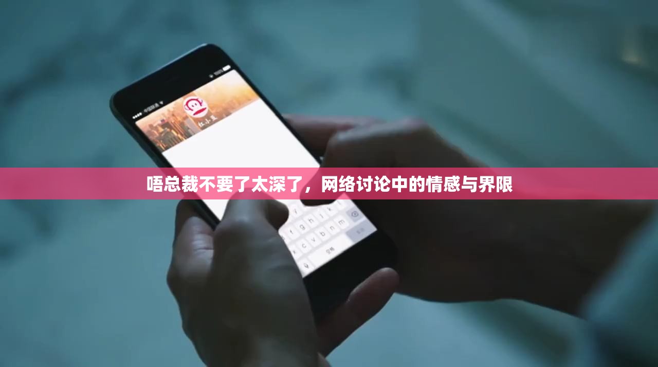 唔總裁不要了太深了，網(wǎng)絡(luò)討論中的情感與界限