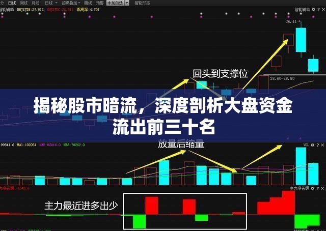 揭秘股市暗流，深度剖析大盤資金流出前三十名