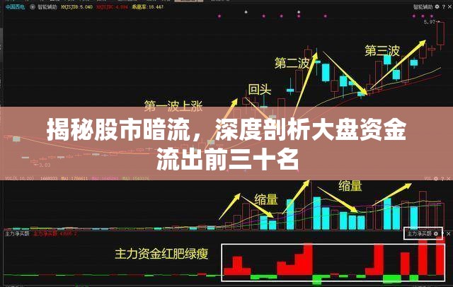 揭秘股市暗流，深度剖析大盤資金流出前三十名