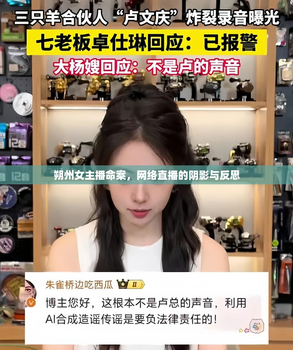 朔州女主播命案，網(wǎng)絡(luò)直播的陰影與反思