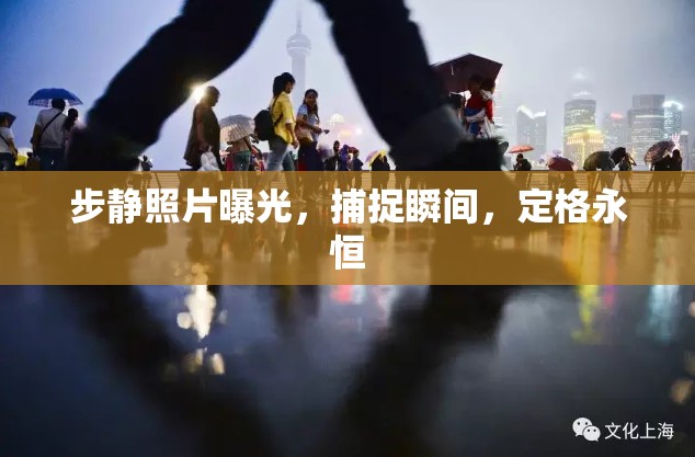 步靜照片曝光，捕捉瞬間，定格永恒