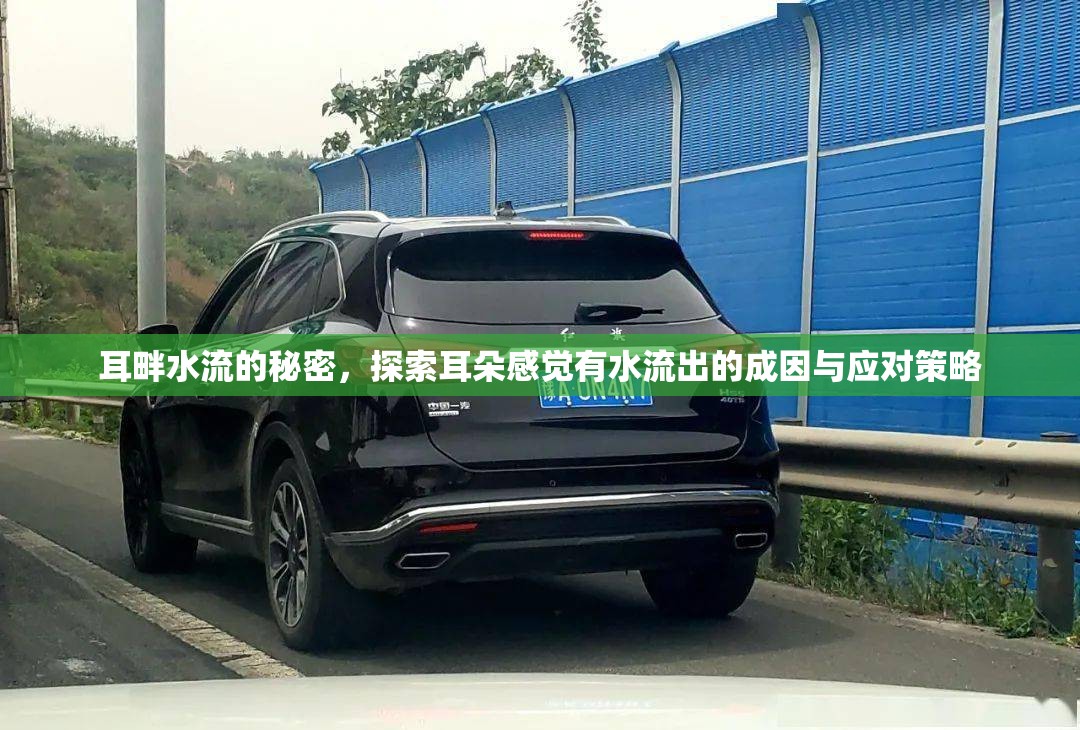 耳畔水流的秘密，探索耳朵感覺有水流出的成因與應(yīng)對策略