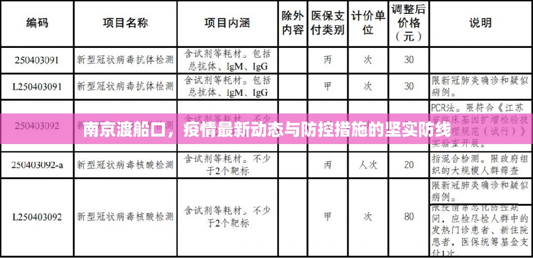 南京渡船口，疫情最新動(dòng)態(tài)與防控措施的堅(jiān)實(shí)防線