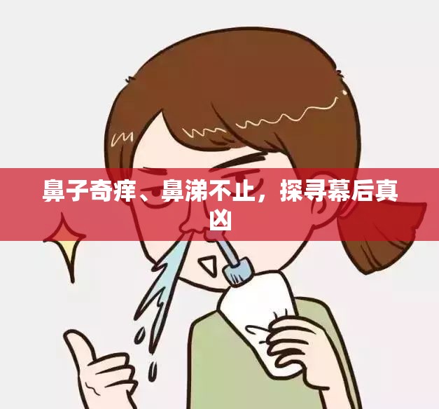 鼻子奇癢、鼻涕不止，探尋幕后真兇