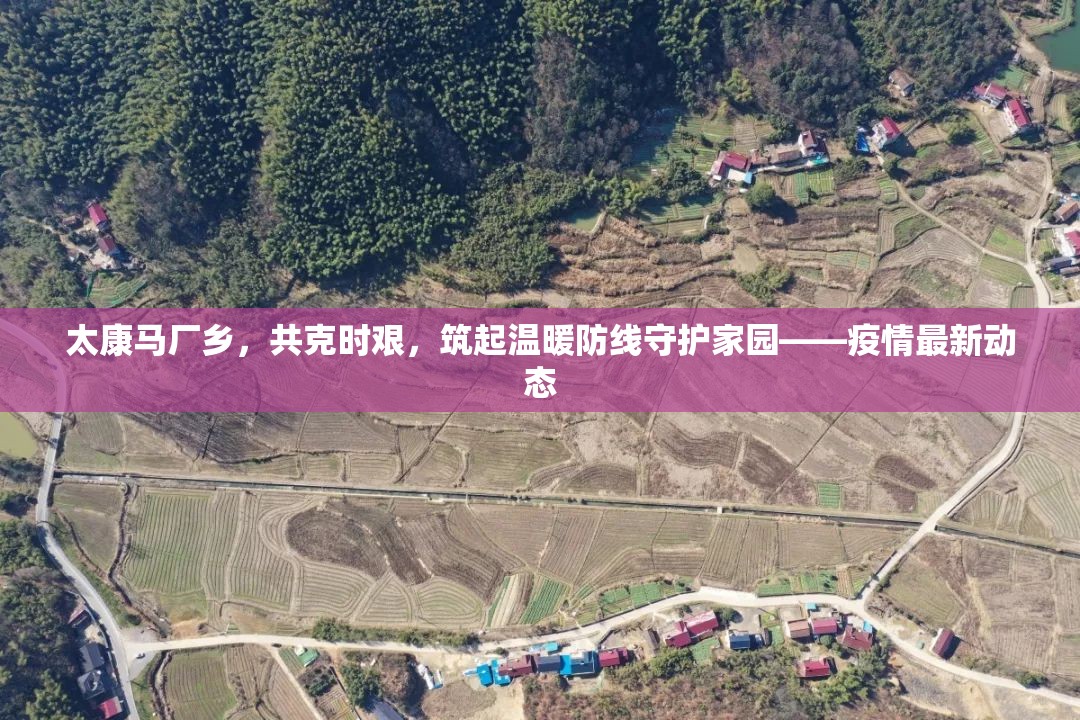 太康馬廠鄉(xiāng)，共克時(shí)艱，筑起溫暖防線守護(hù)家園——疫情最新動(dòng)態(tài)