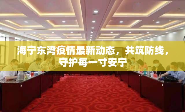海寧東灣疫情最新動態(tài)，共筑防線，守護每一寸安寧