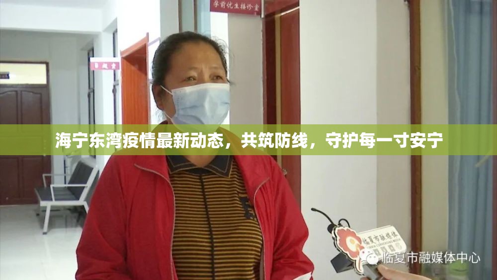 海寧東灣疫情最新動態(tài)，共筑防線，守護每一寸安寧