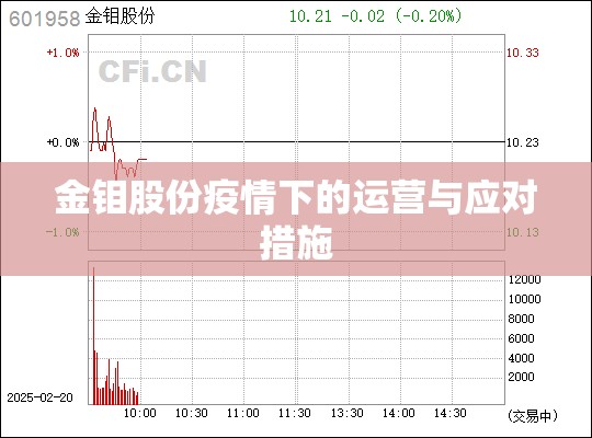 金鉬股份疫情下的運(yùn)營與應(yīng)對(duì)措施