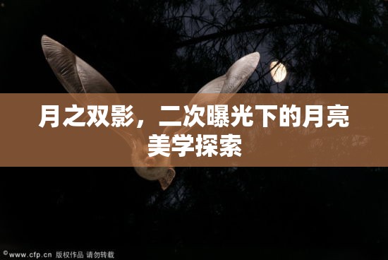 月之雙影，二次曝光下的月亮美學(xué)探索