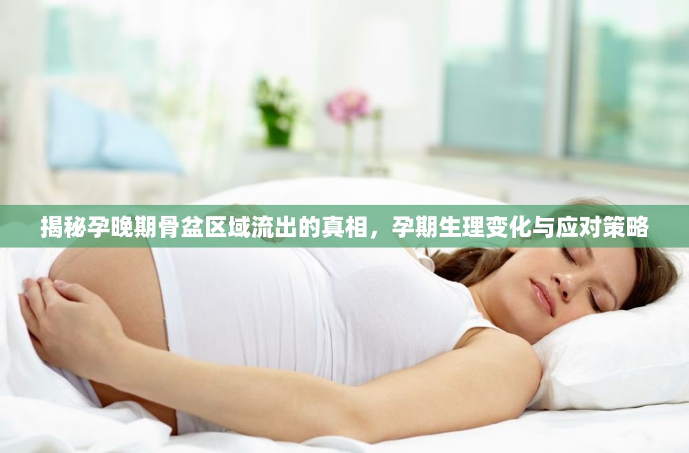 揭秘孕晚期骨盆區(qū)域流出的真相，孕期生理變化與應(yīng)對(duì)策略