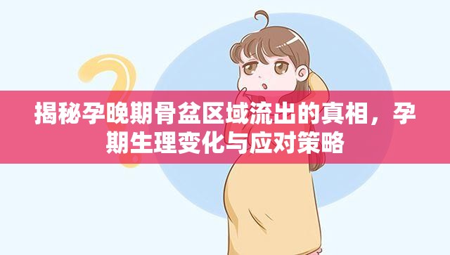 揭秘孕晚期骨盆區(qū)域流出的真相，孕期生理變化與應(yīng)對(duì)策略