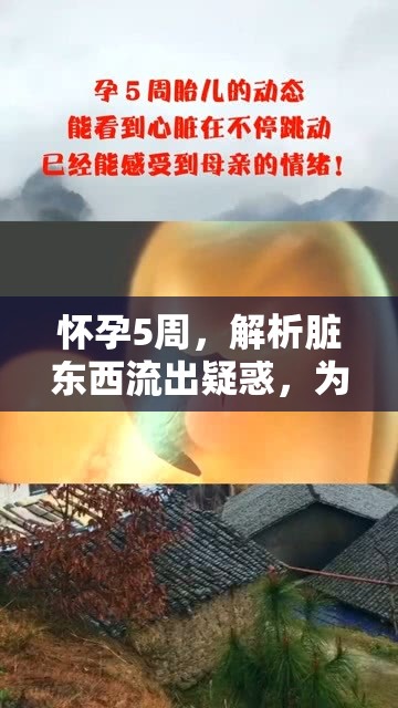 懷孕5周，解析臟東西流出疑惑，為新手媽媽解惑