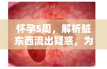 懷孕5周，解析臟東西流出疑惑，為新手媽媽解惑