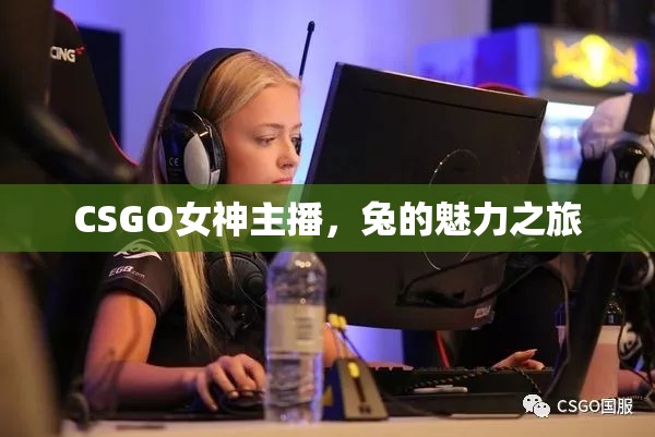 CSGO女神主播，兔的魅力之旅