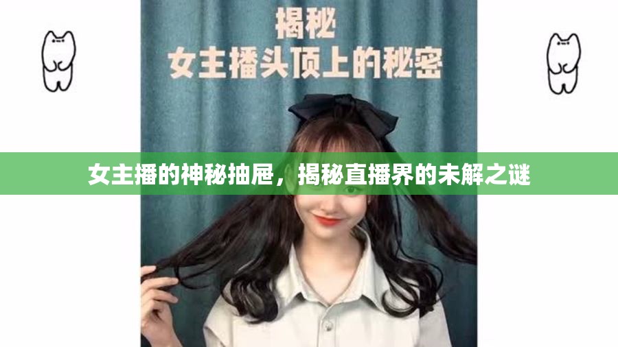 女主播的神秘抽屜，揭秘直播界的未解之謎