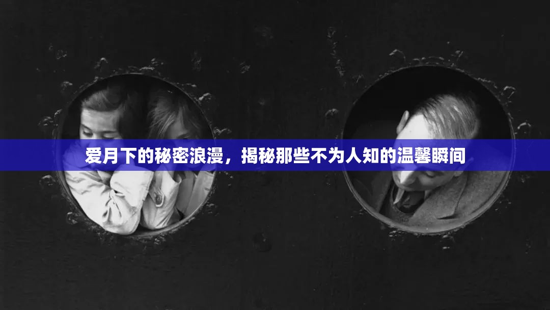 愛月下的秘密浪漫，揭秘那些不為人知的溫馨瞬間