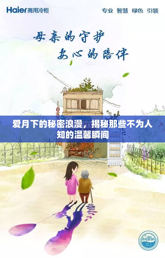 愛月下的秘密浪漫，揭秘那些不為人知的溫馨瞬間