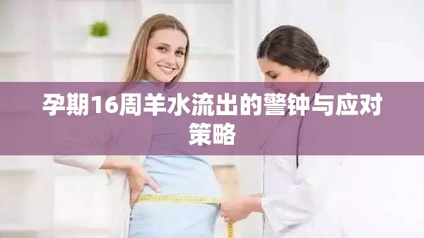 孕期16周羊水流出的警鐘與應(yīng)對(duì)策略