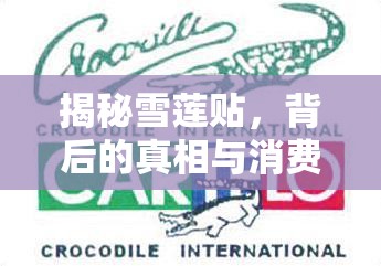 揭秘雪蓮貼，背后的真相與消費(fèi)者警示