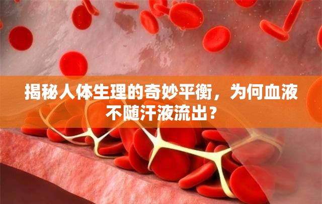 揭秘人體生理的奇妙平衡，為何血液不隨汗液流出？