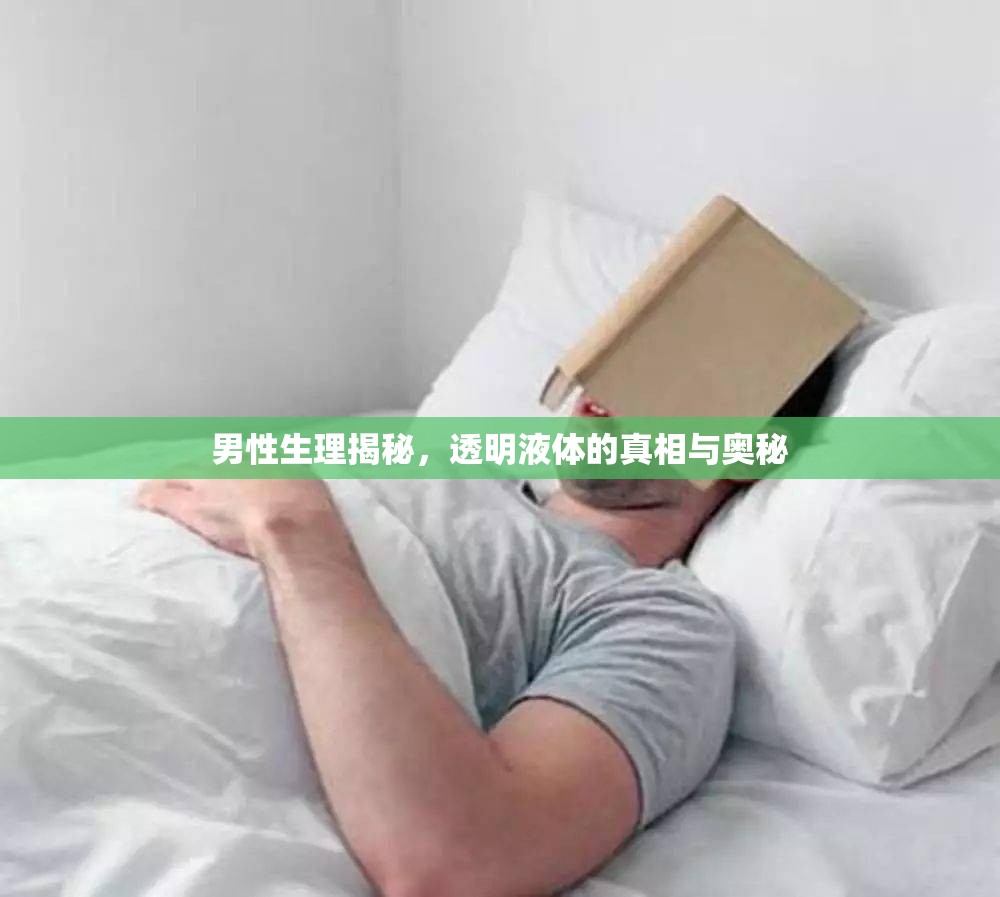 男性生理揭秘，透明液體的真相與奧秘