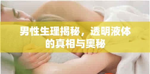 男性生理揭秘，透明液體的真相與奧秘