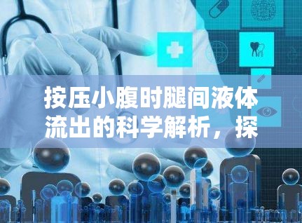 按壓小腹時(shí)腿間液體流出的科學(xué)解析，探索身體奧秘的奇妙之旅