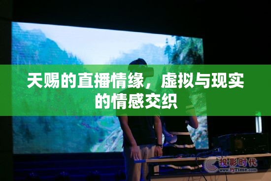 天賜的直播情緣，虛擬與現(xiàn)實(shí)的情感交織
