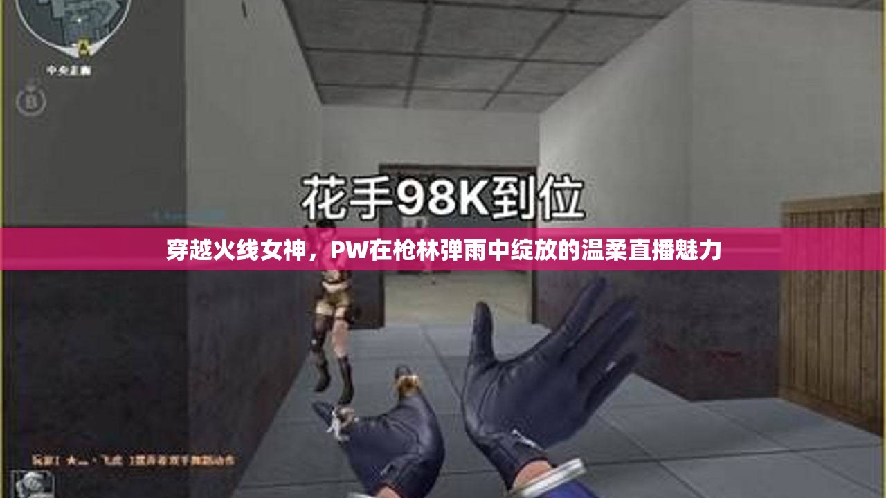 穿越火線女神，PW在槍林彈雨中綻放的溫柔直播魅力
