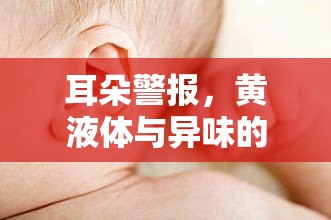 耳朵警報，黃液體與異味的成因揭秘