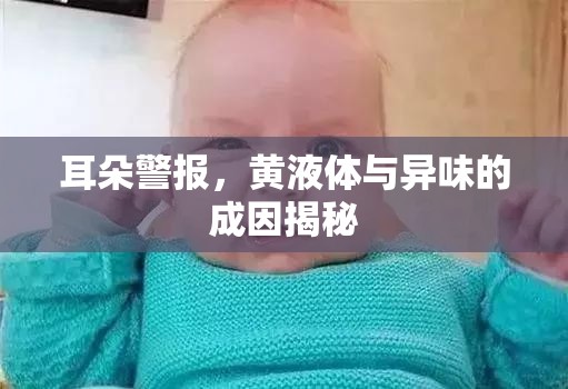 耳朵警報，黃液體與異味的成因揭秘