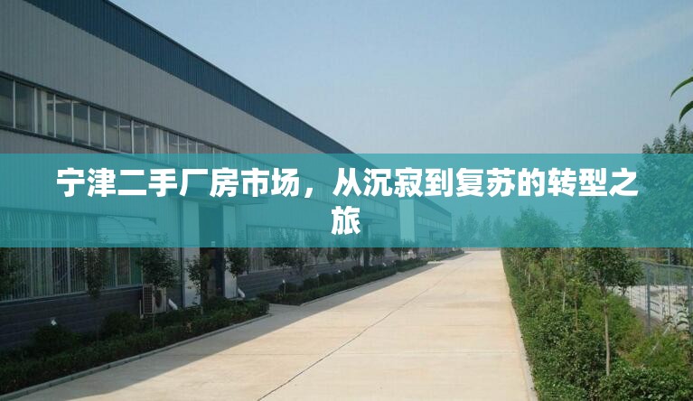 寧津二手廠房市場，從沉寂到復(fù)蘇的轉(zhuǎn)型之旅
