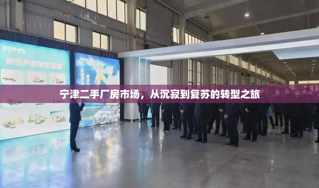 寧津二手廠房市場，從沉寂到復(fù)蘇的轉(zhuǎn)型之旅