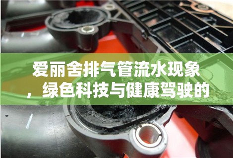 愛麗舍排氣管流水現(xiàn)象，綠色科技與健康駕駛的綠色風(fēng)尚