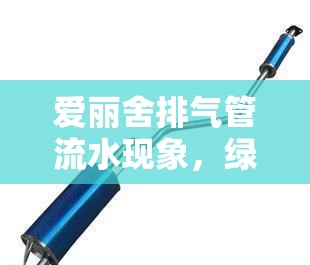 愛麗舍排氣管流水現(xiàn)象，綠色科技與健康駕駛的綠色風(fēng)尚