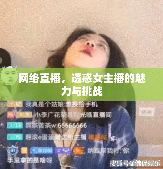 網(wǎng)絡(luò)直播，透惑女主播的魅力與挑戰(zhàn)